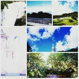 Thailand Diary
